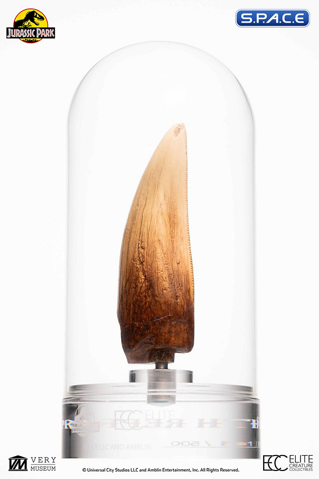 Screen Used T-Rex Tooth Replica (Jurassic Park)