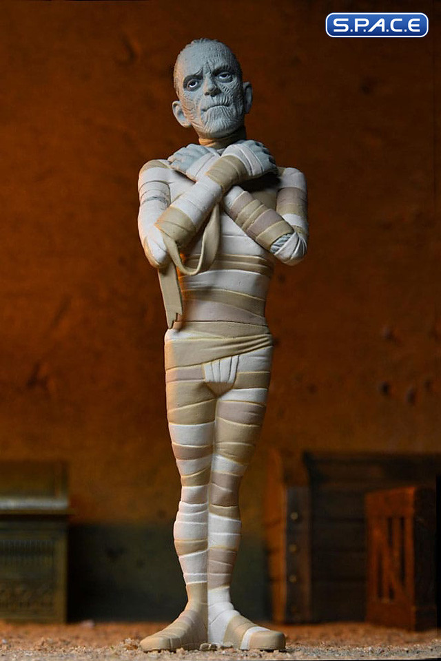 4er Komplettsatz: Toony Terrors Serie 10 (Universal Monsters)