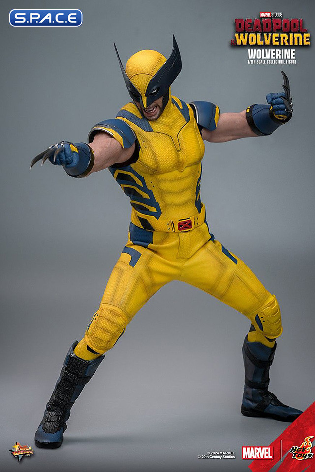 1/6 Scale Wolverine Movie Masterpiece MMS753 (Deadpool & Wolverine)