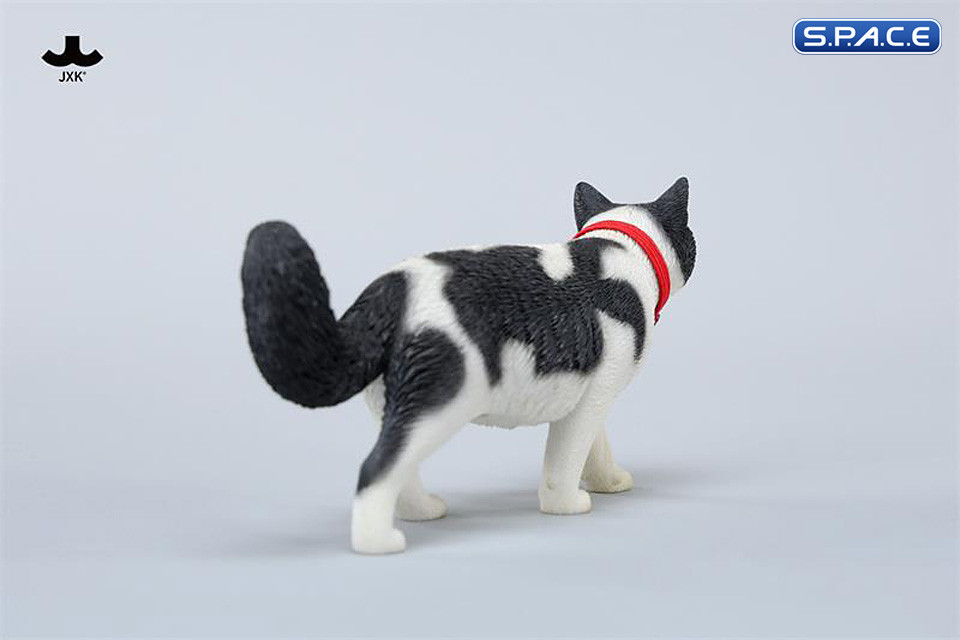 1/6 Scale chinese Rural Cat Version A