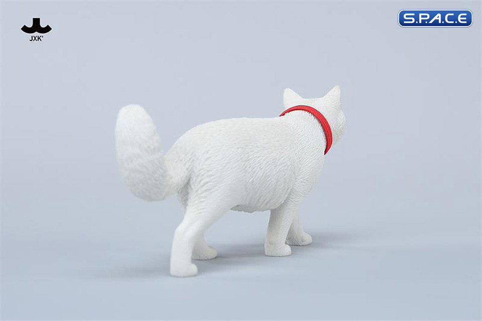 1/6 Scale chinese Rural Cat Version C