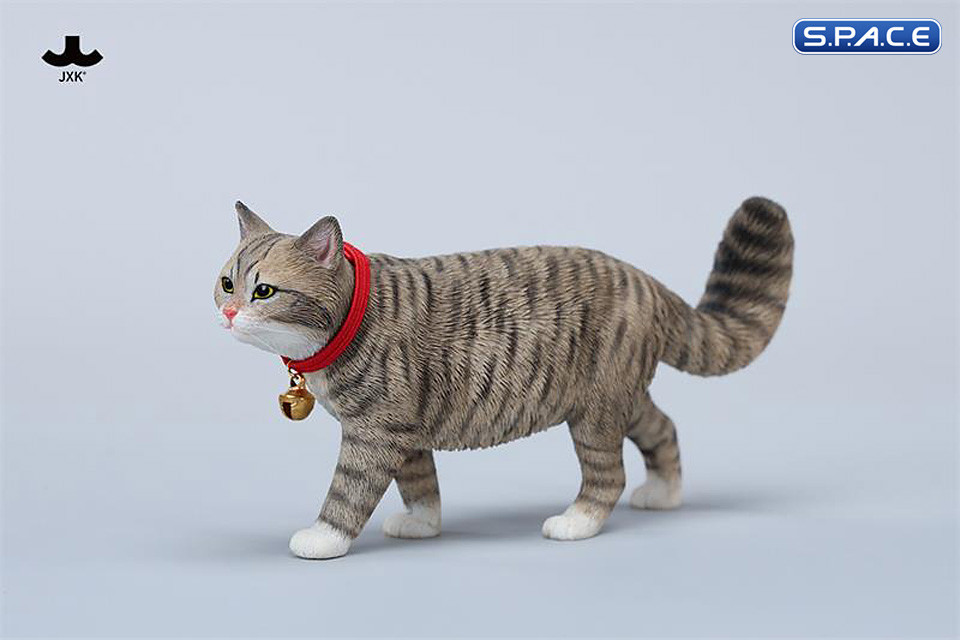 1/6 Scale chinese Rural Cat Version D