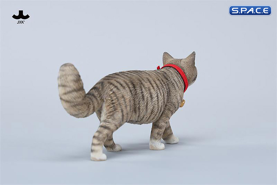 1/6 Scale chinese Rural Cat Version D