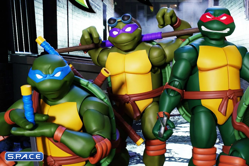 Ultimate Leonardo (Teenage Mutant Ninja Turtles)