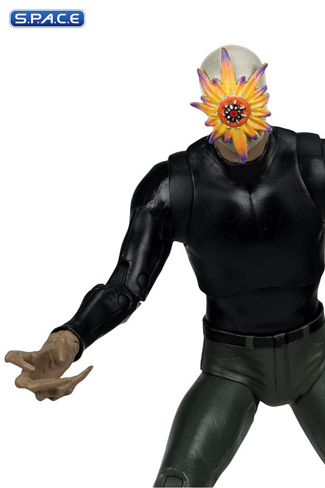 Rookie & Mister Bloom Gold Label Collection 2-Pack (DC Multiverse)