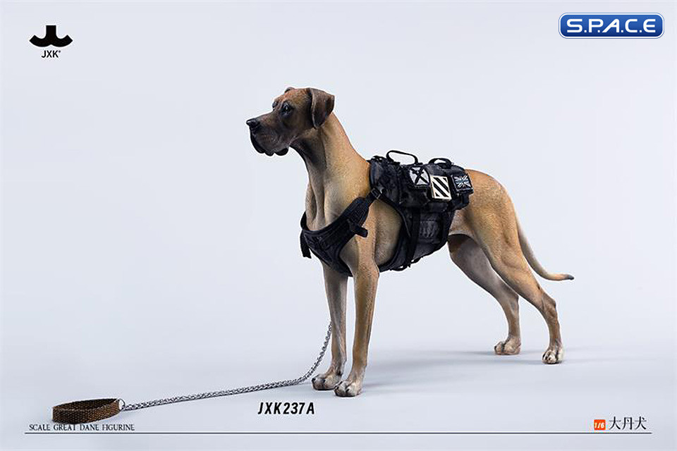 1/6 Scale Great Dane Version A