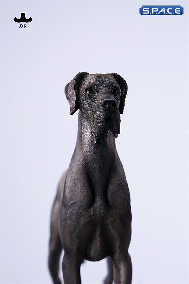 1/6 Scale Great Dane Version B