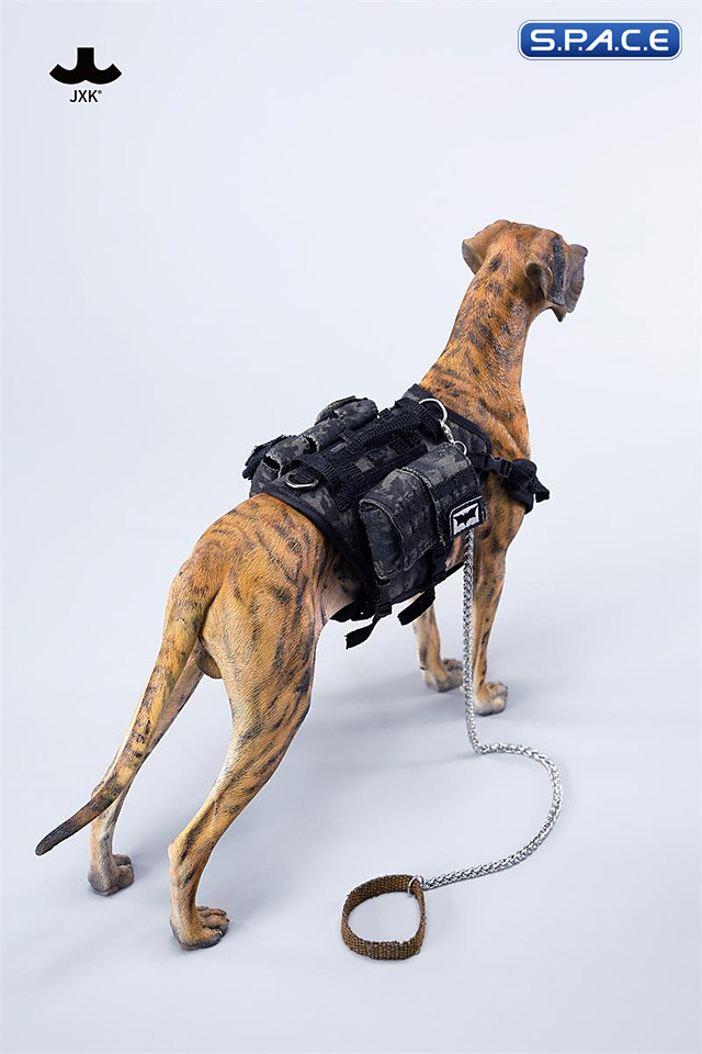 1/6 Scale Great Dane Version C