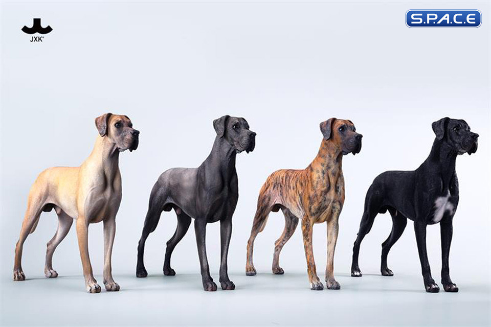 1/6 Scale Great Dane Version C
