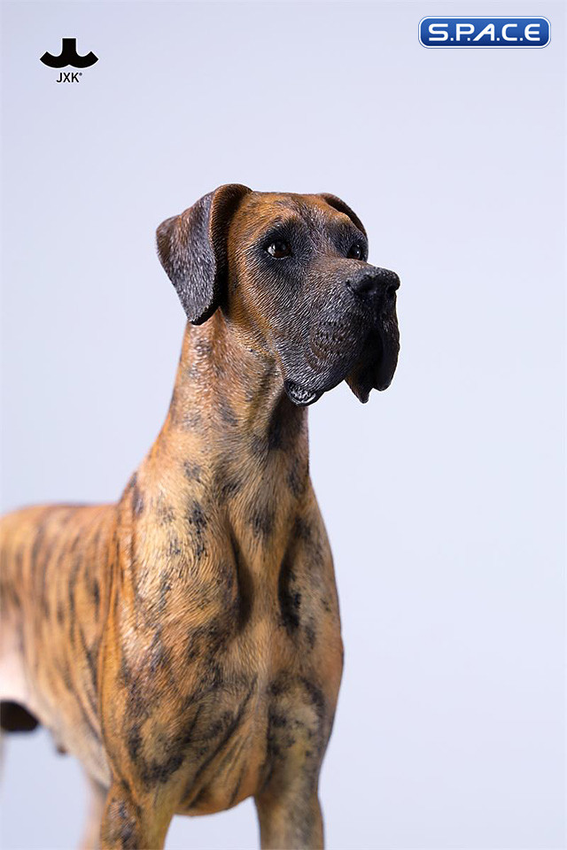 1/6 Scale Great Dane Version C