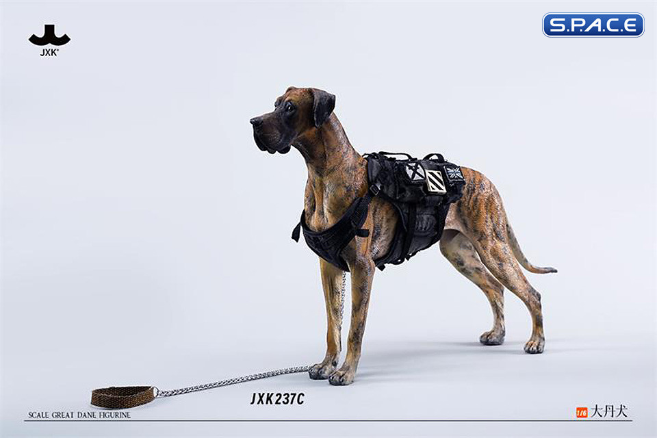 1/6 Scale Great Dane Version C