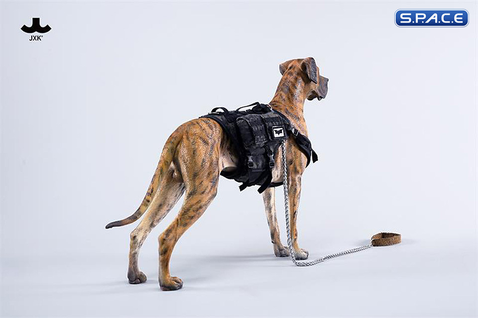 1/6 Scale Great Dane Version C