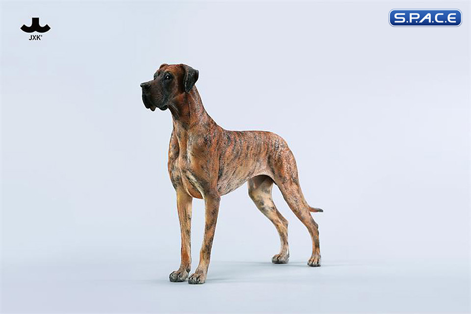 1/6 Scale Great Dane Version C