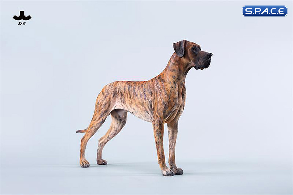 1/6 Scale Great Dane Version C