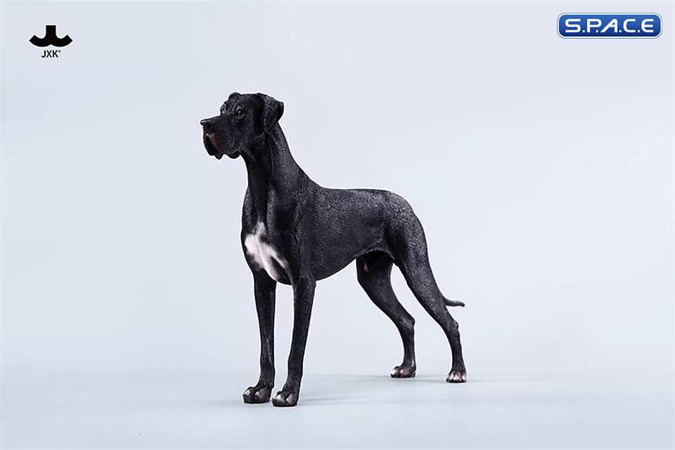 1/6 Scale Great Dane Version D
