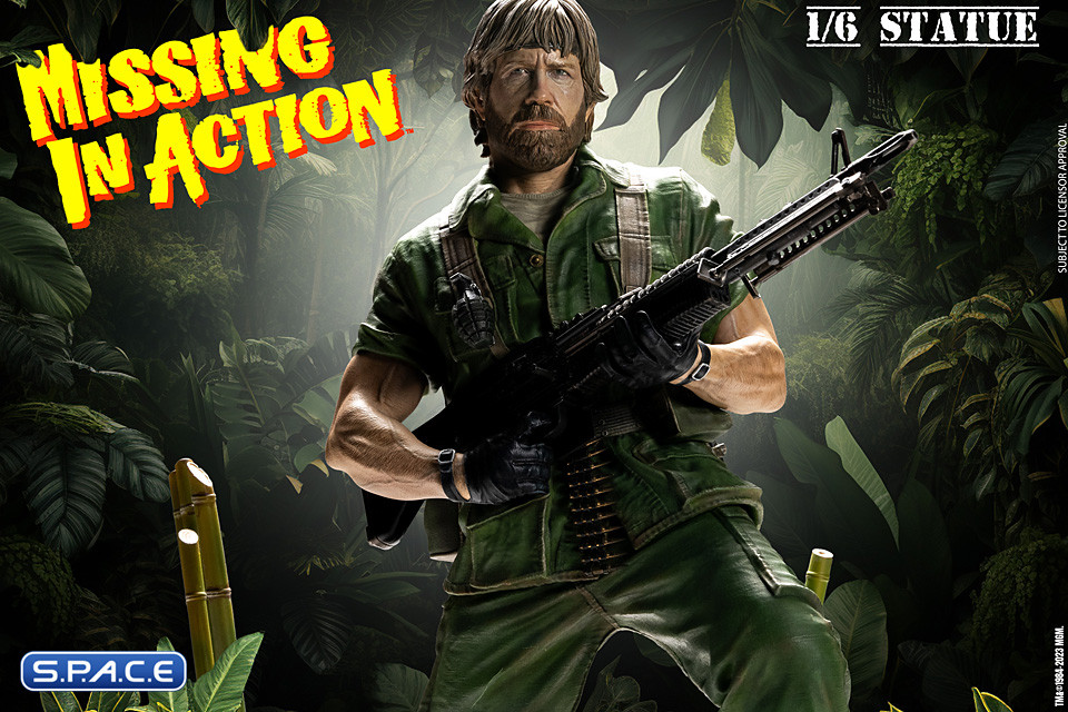 Colonel James Braddock Statue (Missing in Action)