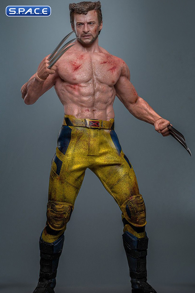 1/6 Scale Wolverine TVA Jacket Movie Masterpiece MMS756 (Deadpool & Wolverine)