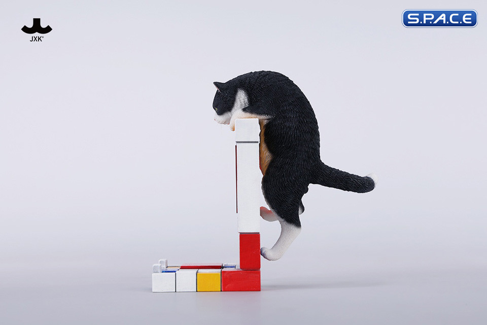 1/6 Scale Wall-Climbing Cat (black)