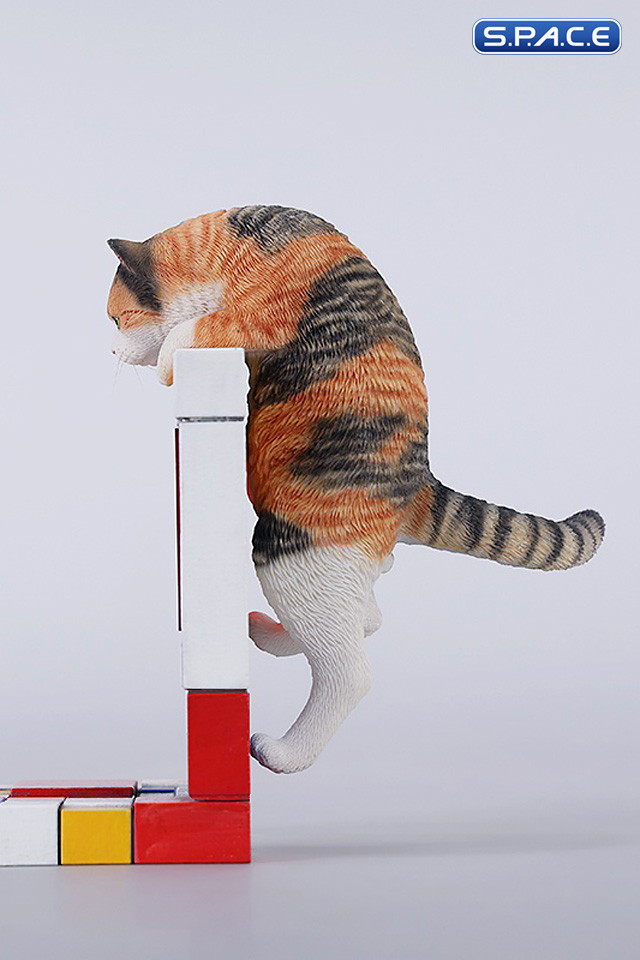 1/6 Scale Wall-Climbing Cat (red/grey)