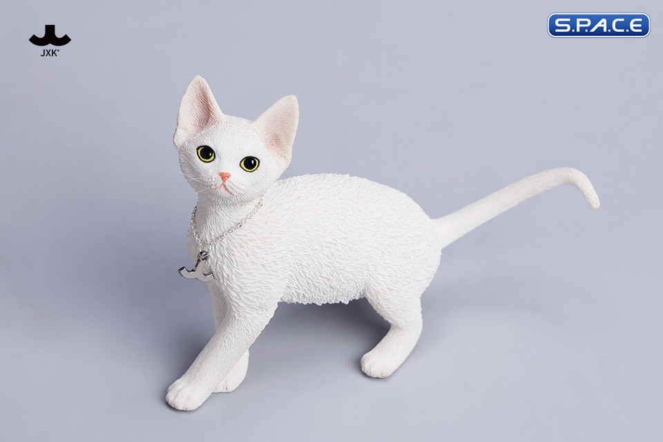 1/6 Scale Devon Rex Cat (white)