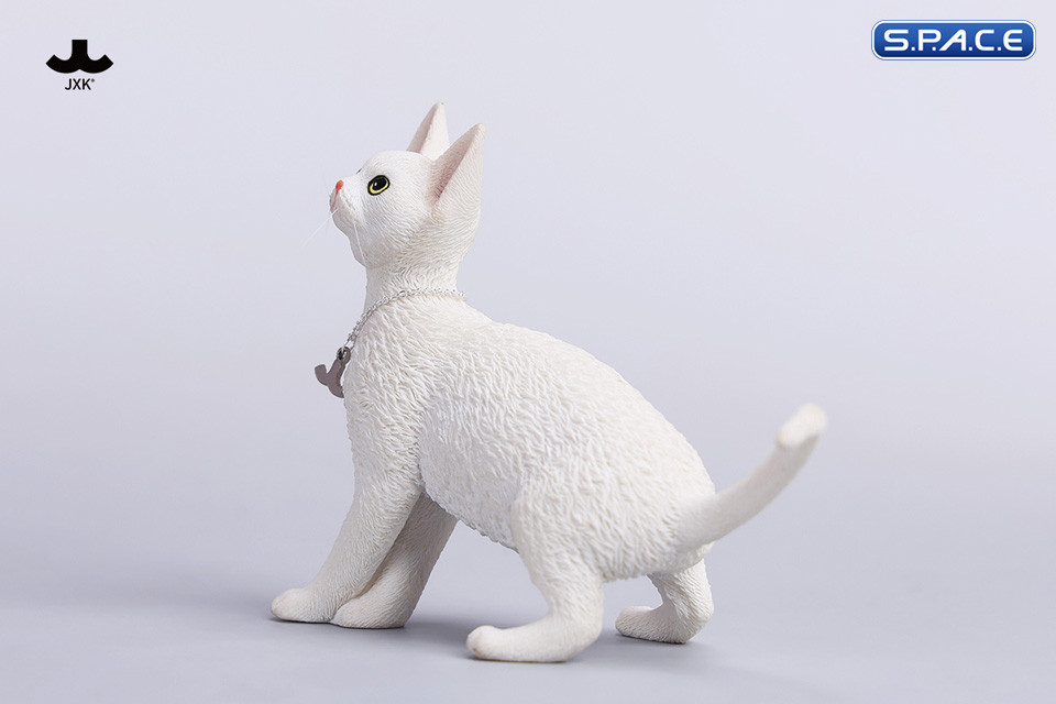 1/6 Scale Devon Rex Cat (white)