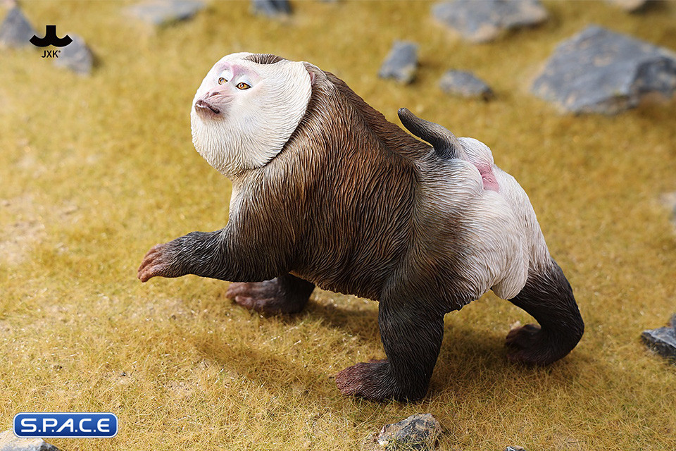 1/6 Scale Northern Pigtail Macaque