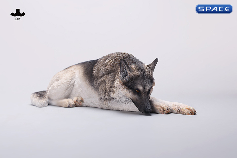 1/6 Scale lying German Shepherd (grey)