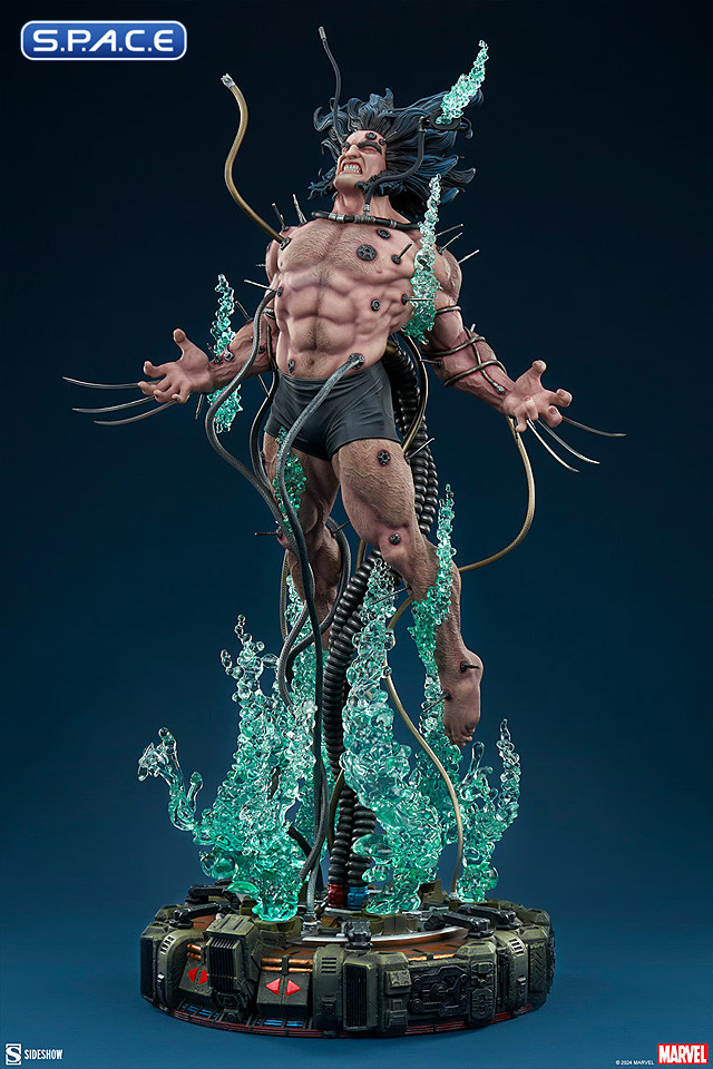 Wolverine: Weapon X Premium Format Figure (Marvel)