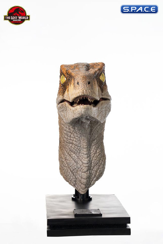 1:1 Male Raptor Life-Size Bust (The Lost World: Jurassic Park)