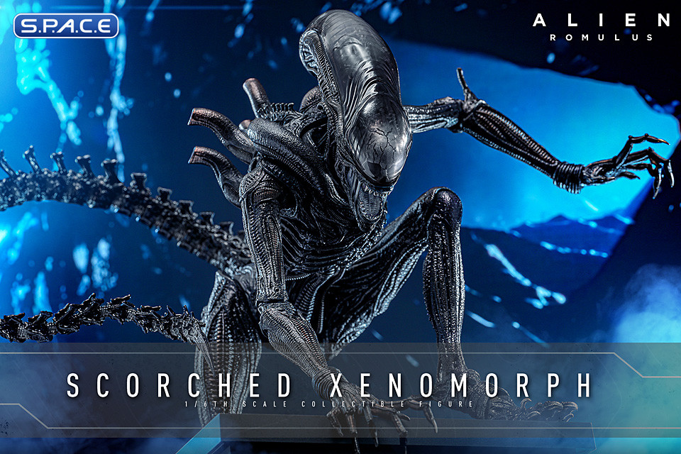 1/6 Scale Scorched Xenomorph Movie Masterpiece MMS784 (Alien: Romulus)