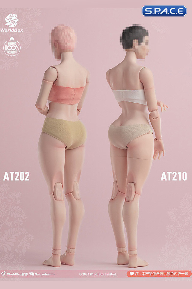 1/6 Scale female Body AT210A (pale)
