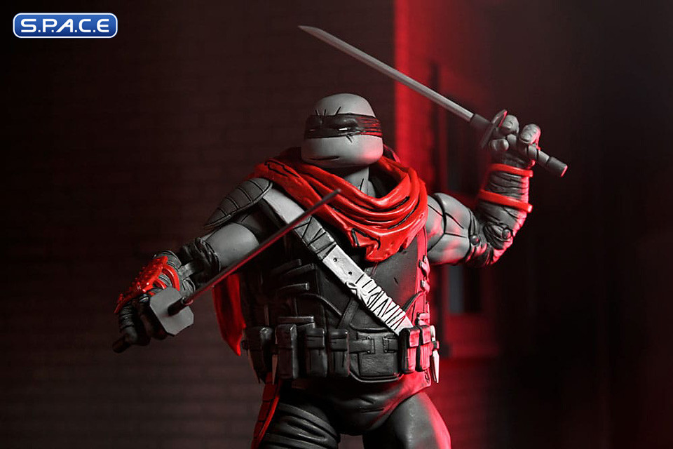Nightwatcher Leonardo (Teenage Mutant Ninja Turtles: The Last Ronin - Lost Years)
