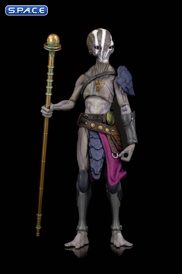 Greyborn Cosmic Character Pack (Cosmic Legions)