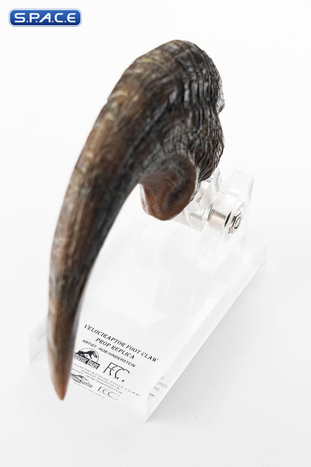 Réplique Griffe De Vélociraptor – Jurassic Park – Édition Collector – 19x14 Cm – 1:1 – Officielle – Plastique Robuste – Cadeau Fan