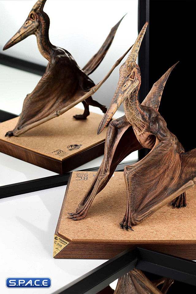 1/5 Scale Pteranodon Maquette (Jurassic Park III)