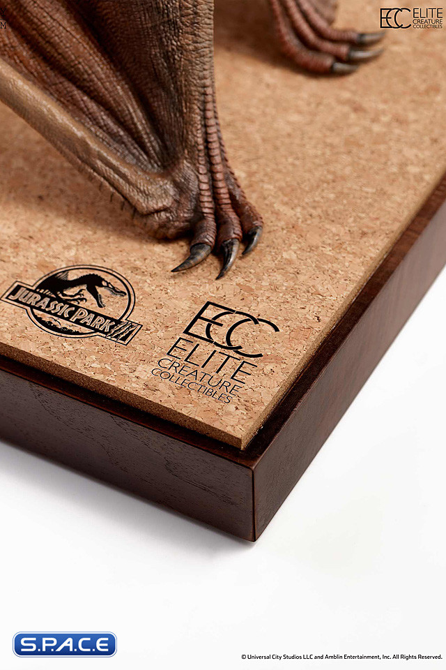 1/5 Scale Pteranodon Maquette (Jurassic Park III)