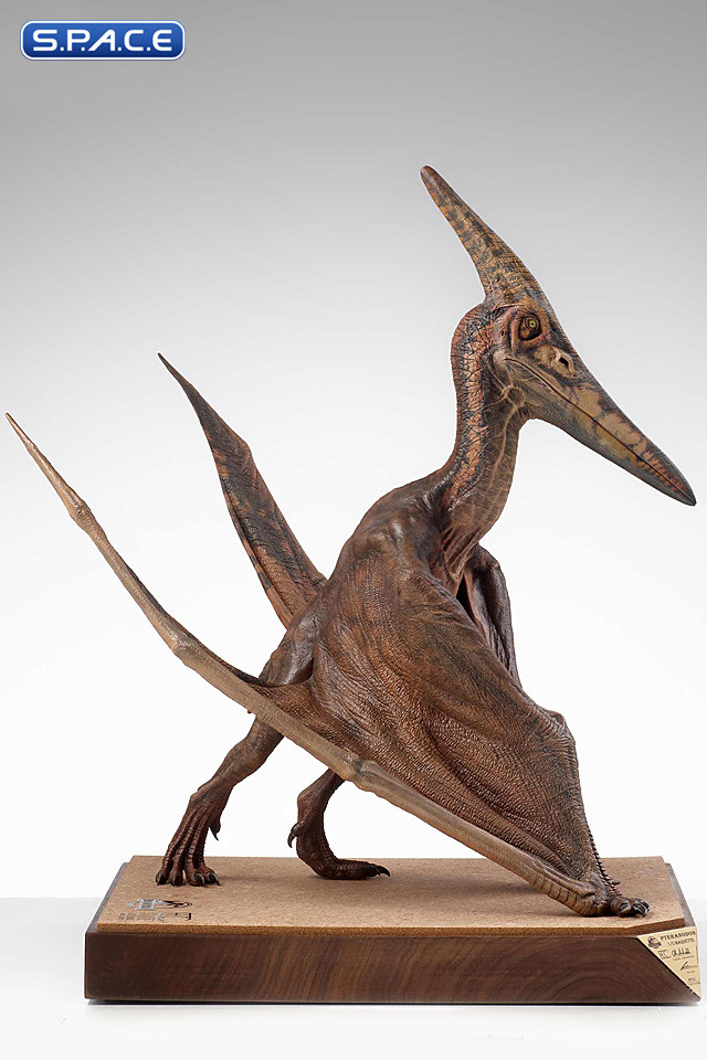 1/5 Scale Pteranodon Maquette (Jurassic Park III)