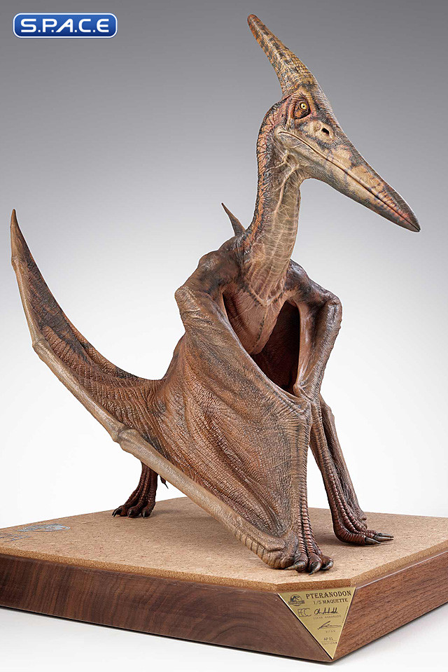 1/5 Scale Pteranodon Maquette (Jurassic Park III)