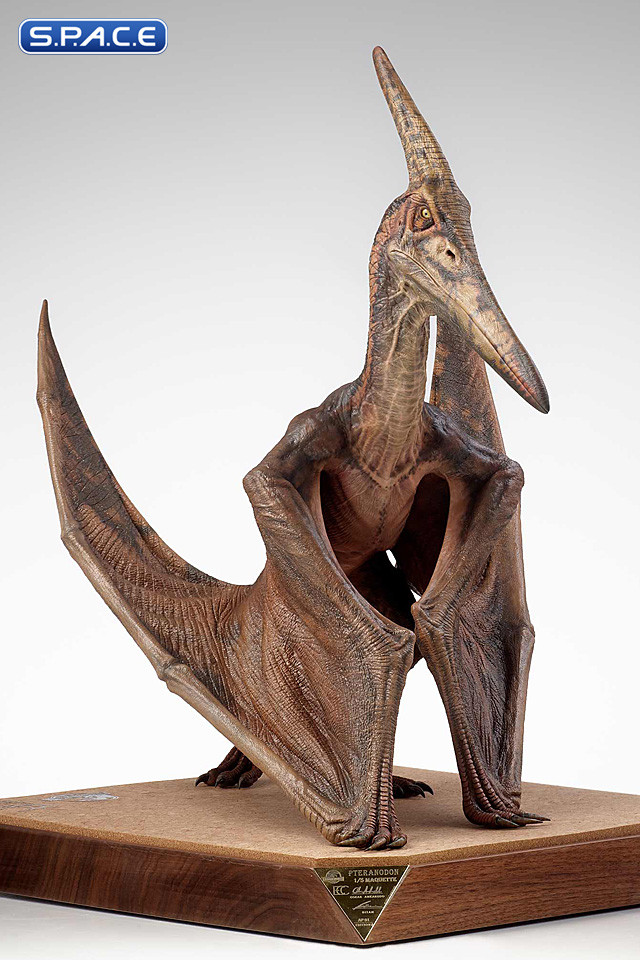 1/5 Scale Pteranodon Maquette (Jurassic Park III)