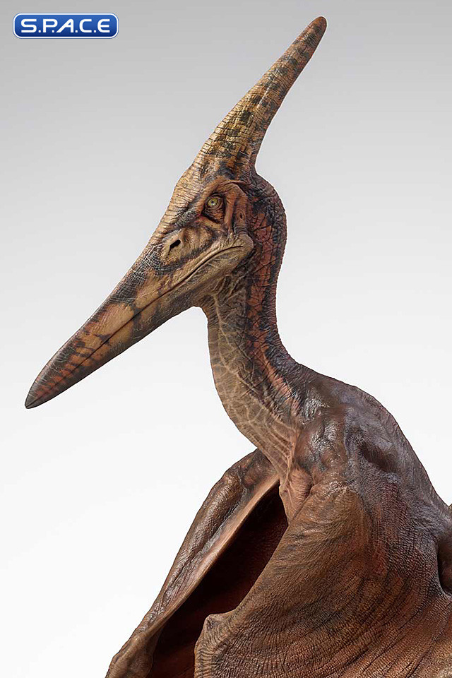 1/5 Scale Pteranodon Maquette (Jurassic Park III)