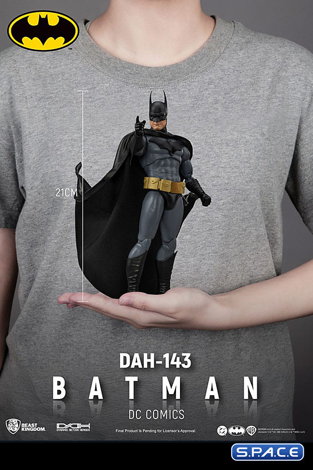 Batman Dynamic Action Heroes (DC Comics)