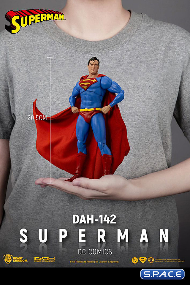 Superman Dynamic Action Heroes (DC Comics)