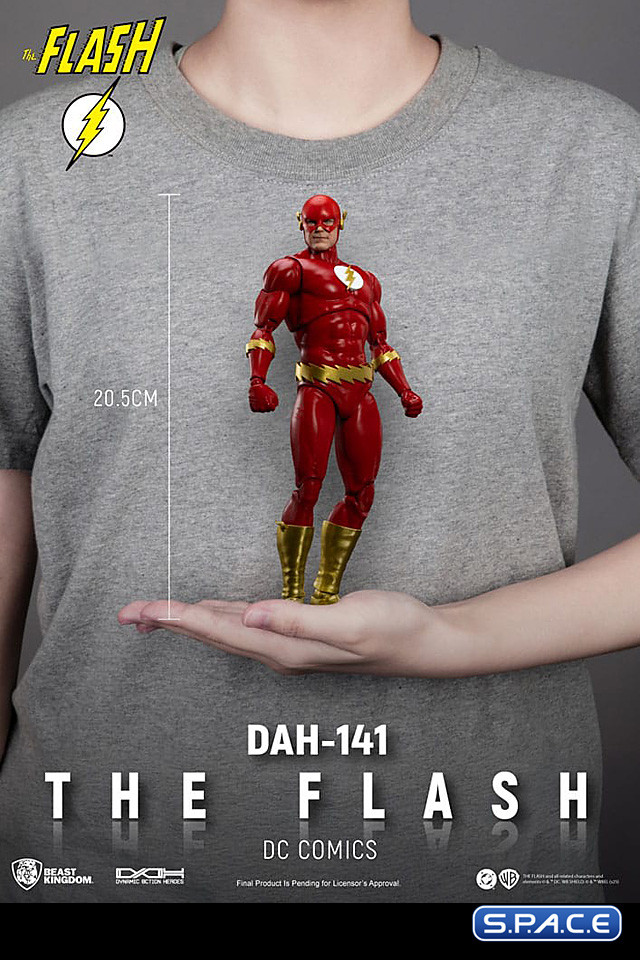 The Flash Dynamic Action Heroes (DC Comics)
