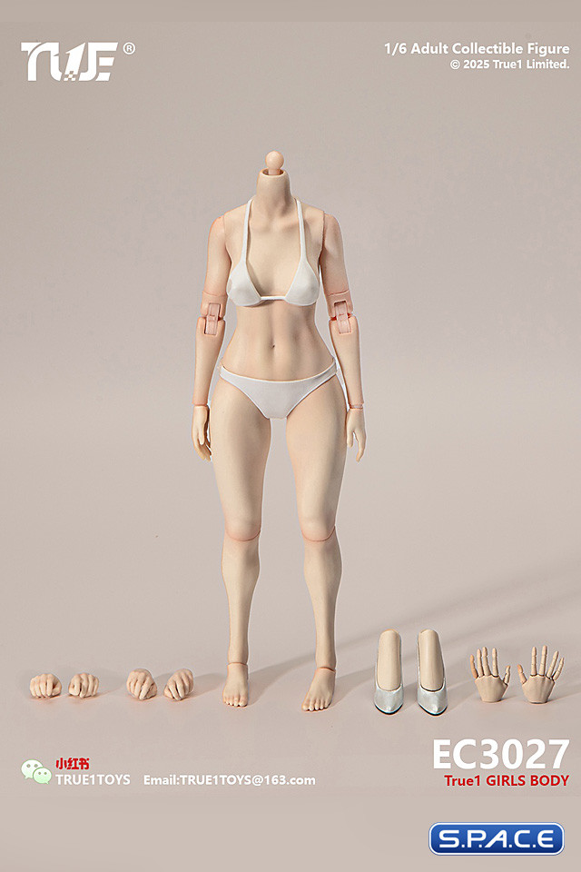 1/6 Scale female Body EC3027-P - medium Bust Version (pale)