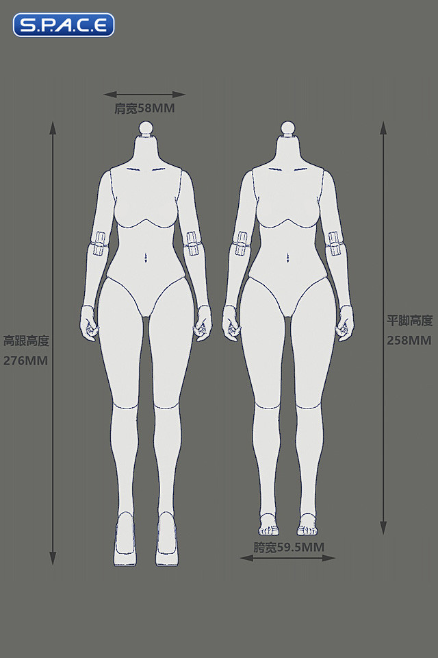 1/6 Scale female Body EC3027-P - medium Bust Version (pale)
