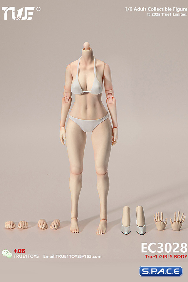 1/6 Scale female Body EC3028-P - large Bust Version (pale)