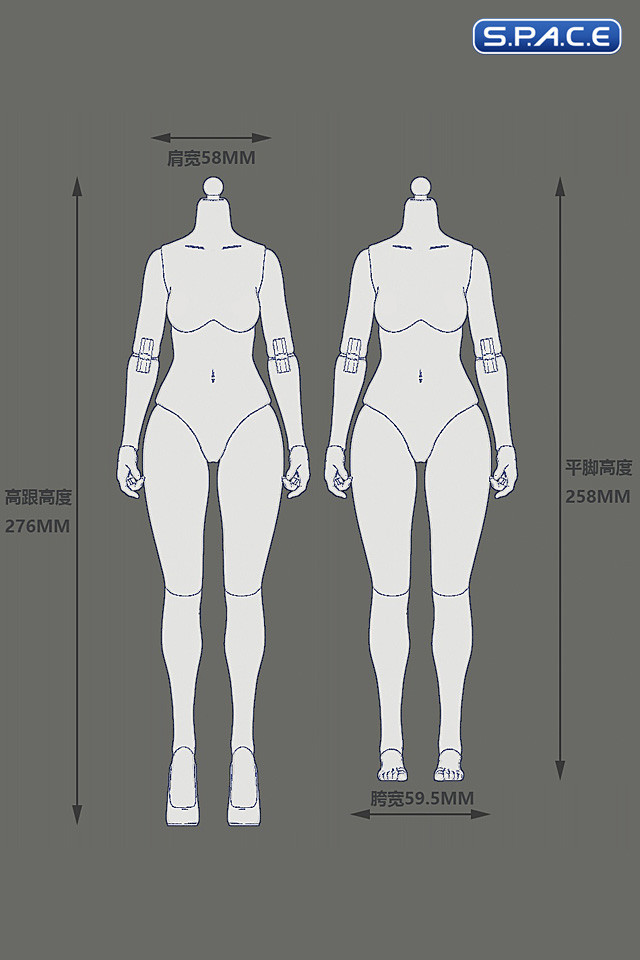 1/6 Scale female Body EC3028-T - large Bust Version (tan)