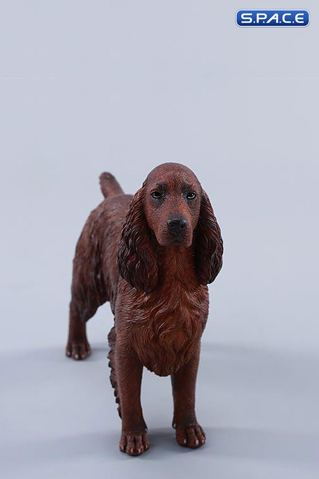 1/6 Scale Cocker Spaniel Version A