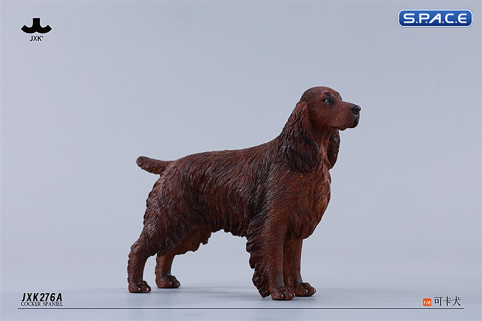 1/6 Scale Cocker Spaniel Version A