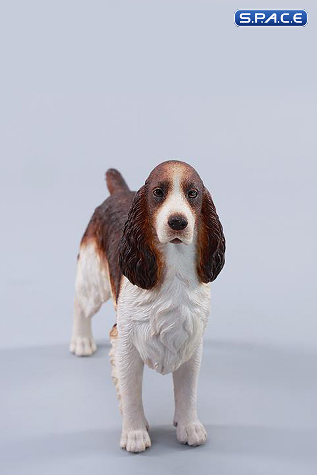 1/6 Scale Cocker Spaniel Version B